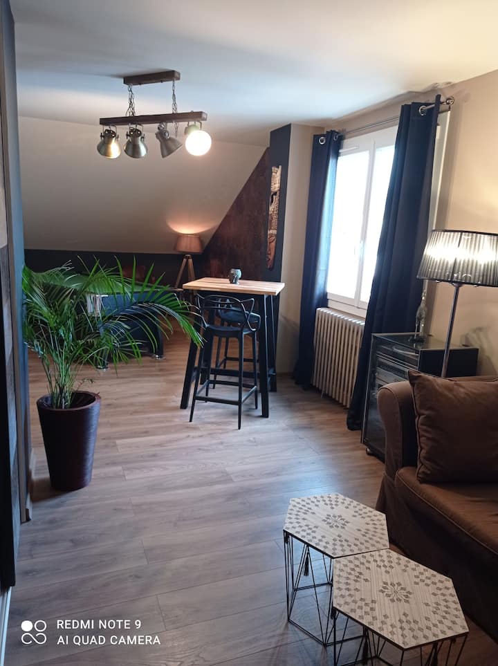 Charmant Appartement Dans Maison, Classé 2* - シャンベリー