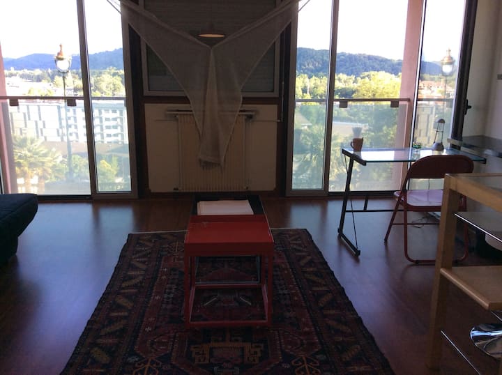 Studio With Best Location And View - Pau