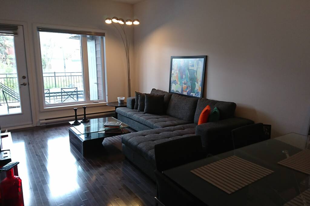 Living Room with a view of exterior terrace. Nice and comfy couch with Basic Cable Access. Near the dinning table and kitchen as an open space.