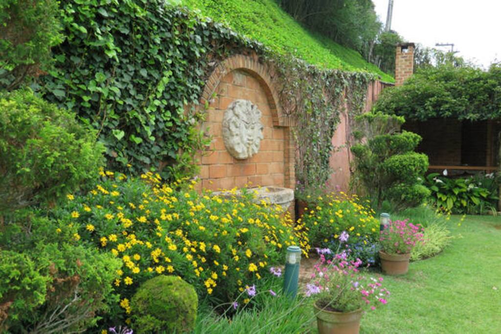 Garden with Water Fountain