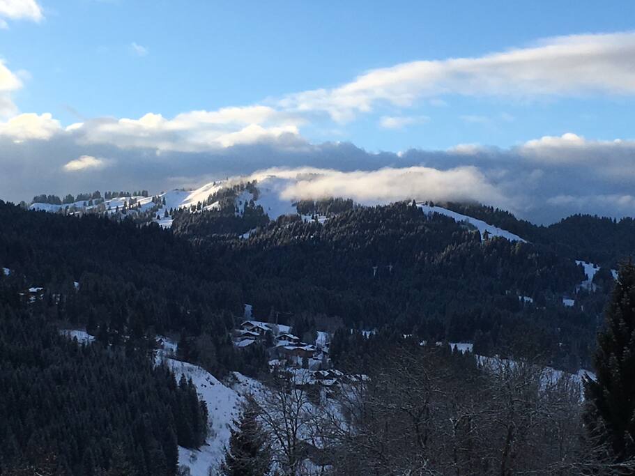 View from the balcony