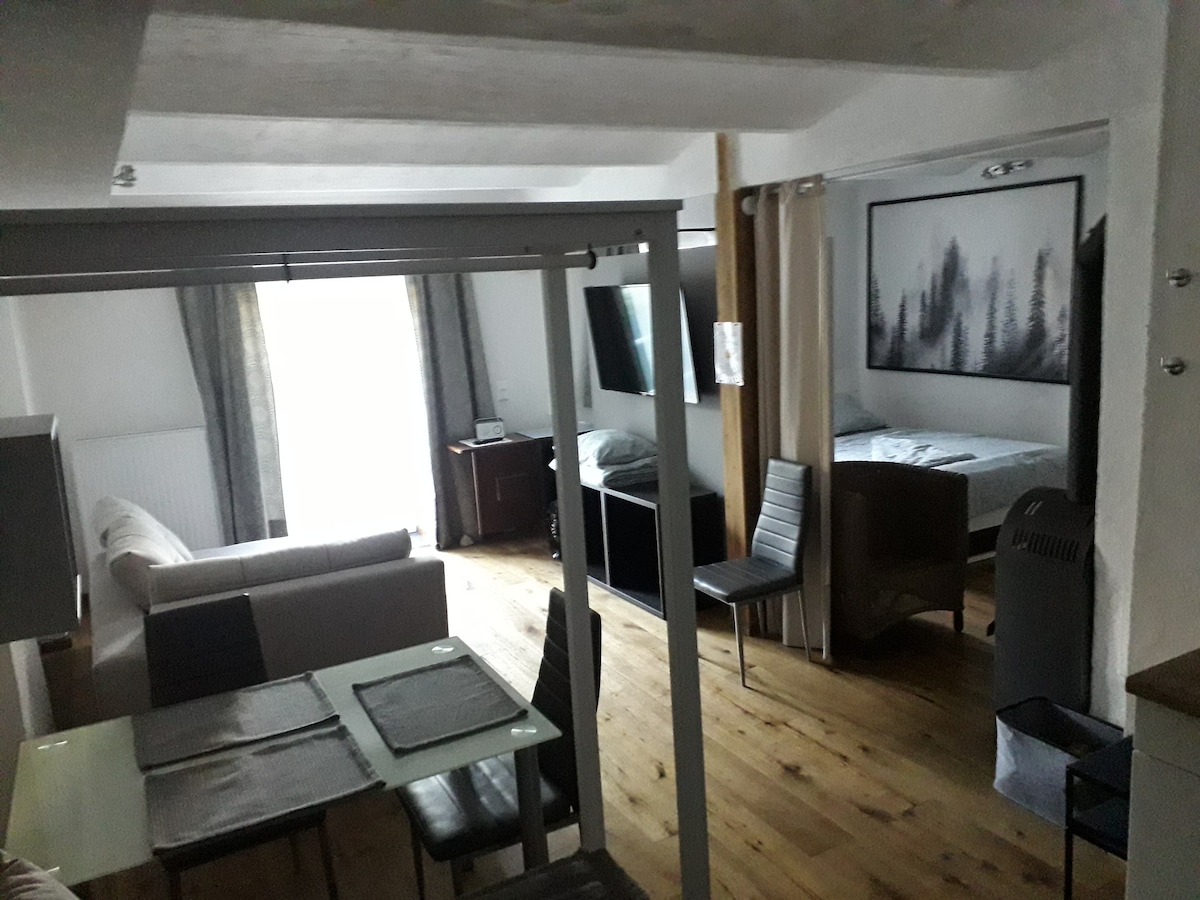 An open-plan living area is highlighted by natural wood flooring and softly colored walls. A dining table with four chairs is positioned beside a large window, allowing light to fill the space. A comfortable sofa and a flat-screen TV are visible, along with a cozy sleeping area in the background.