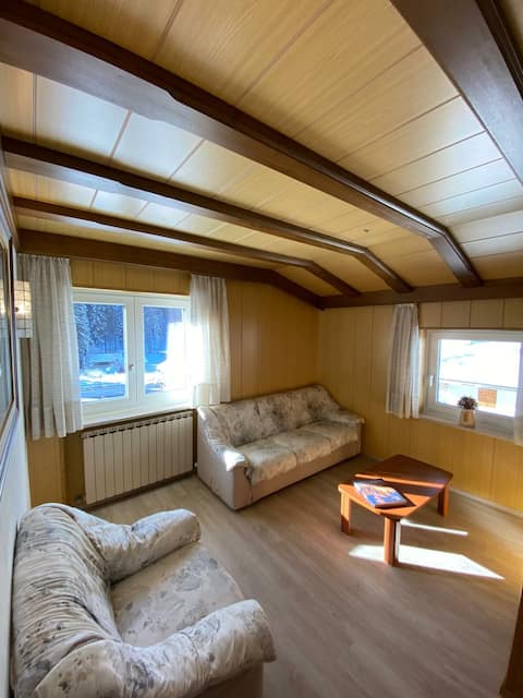 Successful Airbnb property: Ciamorc Relax and Sport only for families in Canazei