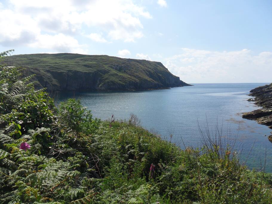 South harbour