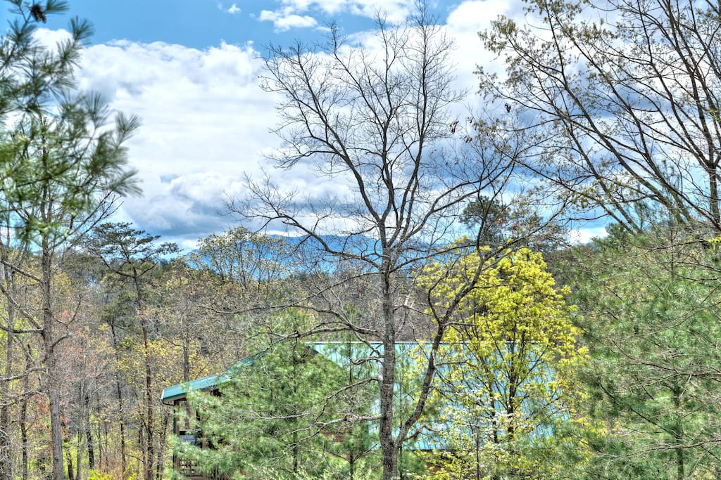 View off back deck!