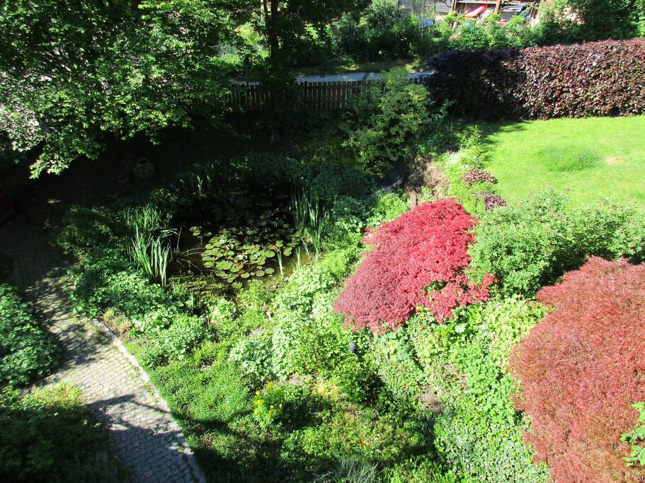Garten mit Teich von oben
