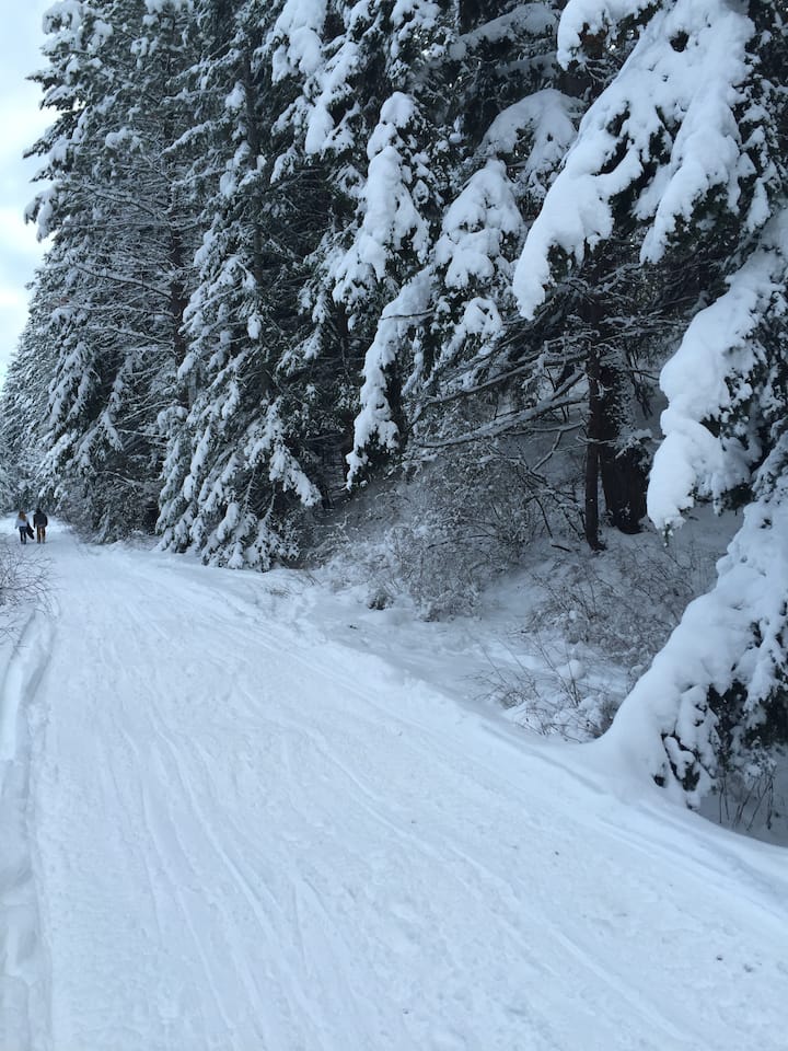 10 Best Airbnb Vacation Rentals In Roslyn, Washington Updated 2024 Trip101