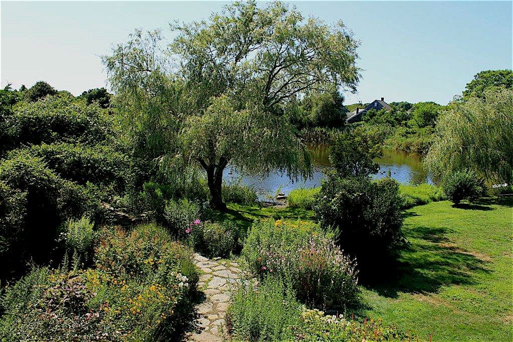 Peaceful setting