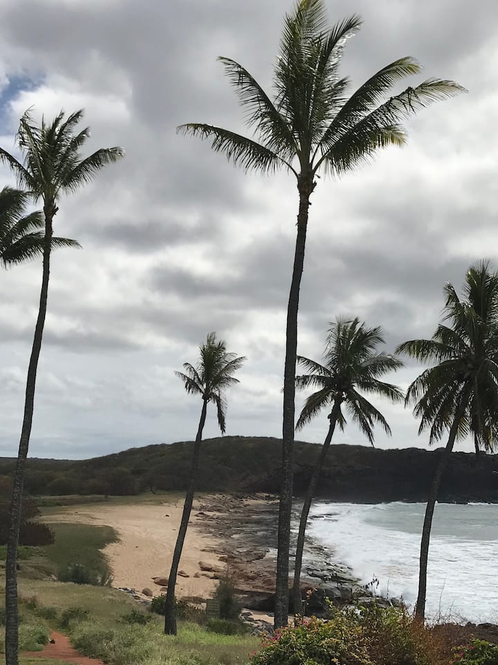 10 Best LongTerm Rentals On Moloka‘i, USA Updated 2024 Trip101