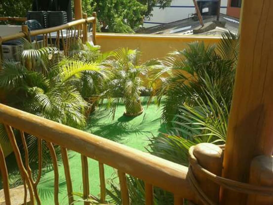 Roof garden