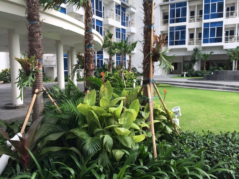 the room is on the same floor as this garden