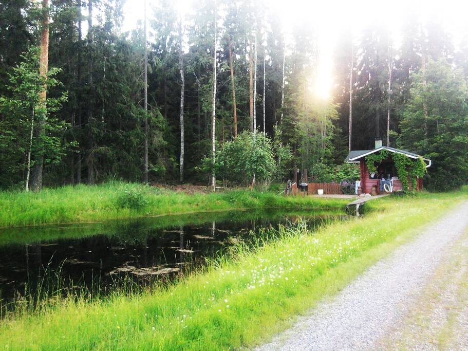 Uimalampi ja pihasauna