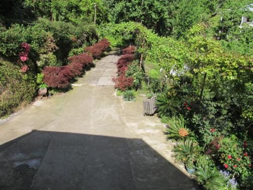 A landscaped garden path is flanked by lush greenery and colorful flowerbeds, creating a serene outdoor space. Benches are positioned along the path, providing spots for relaxation. The area is illuminated by natural light filtering through the foliage.