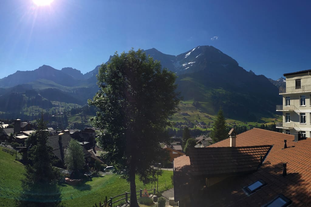 Blick vom Balkon im Sommer