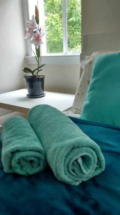 Fresh Towels after your shower.