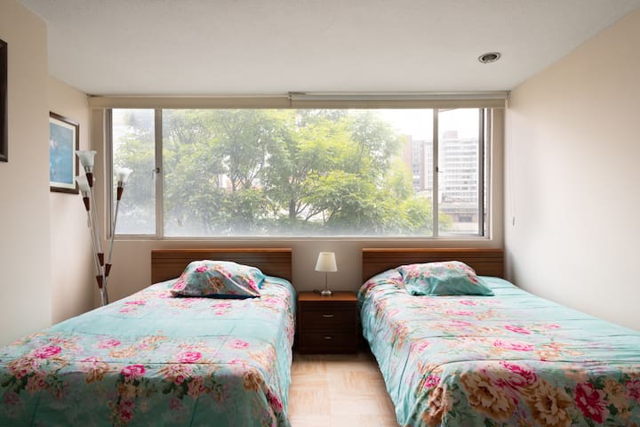 COMFORTABLE APARTMENT (DOWNTOWN)