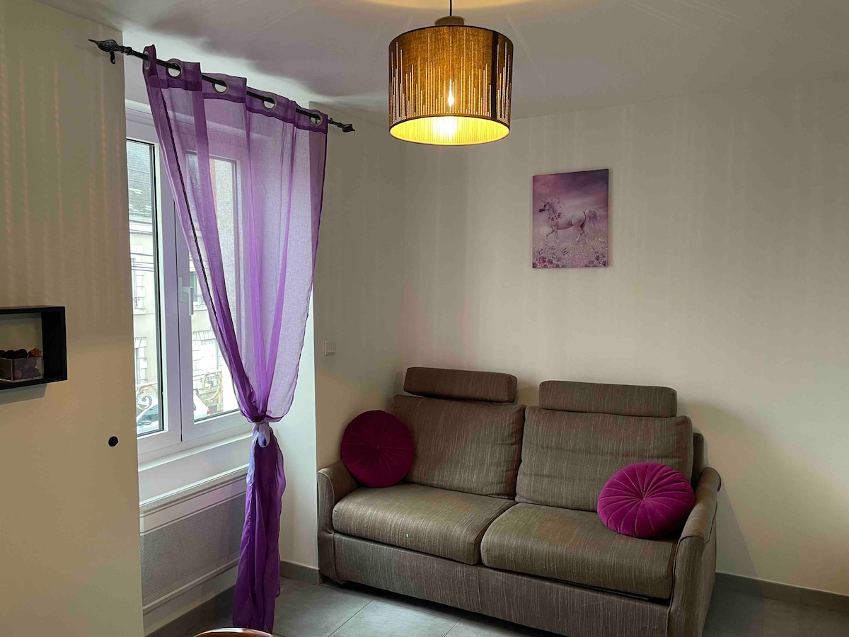 Successful Airbnb property: Cozy apartment + private parking and free Wi-Fi in Vierzon