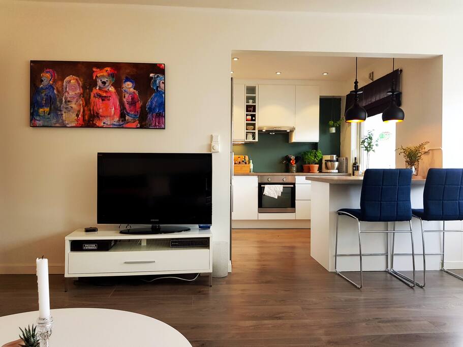View from couch, open kitchen solution with all necessities