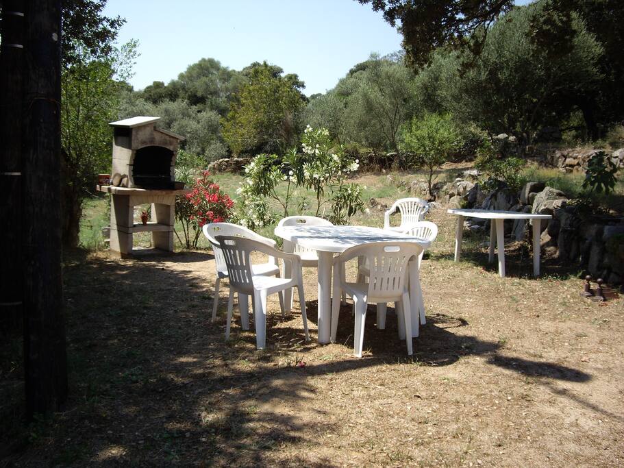 Barbecue.