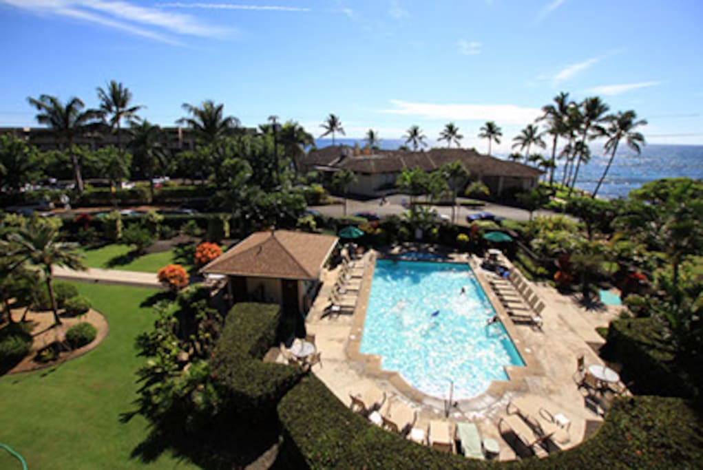 Coral bldg pool .