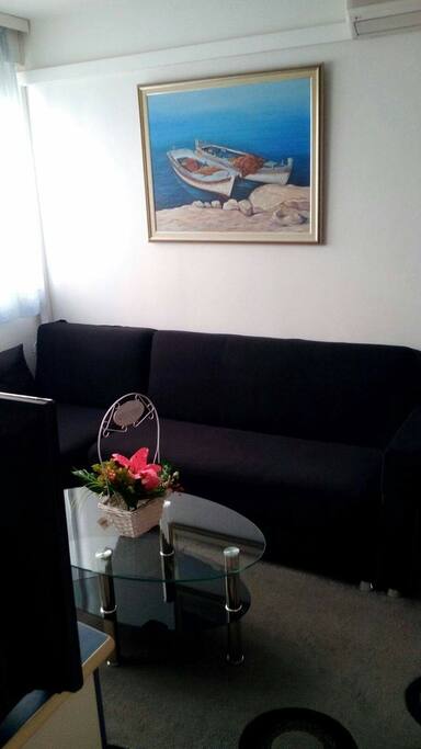 Large sofa can be turn into comfy bed for two