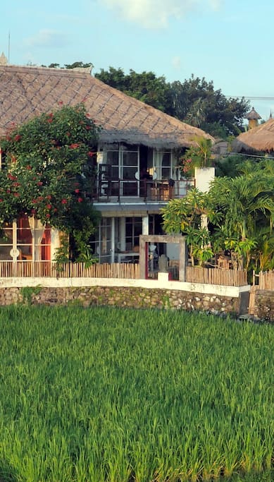 view from the rice fields behind the house