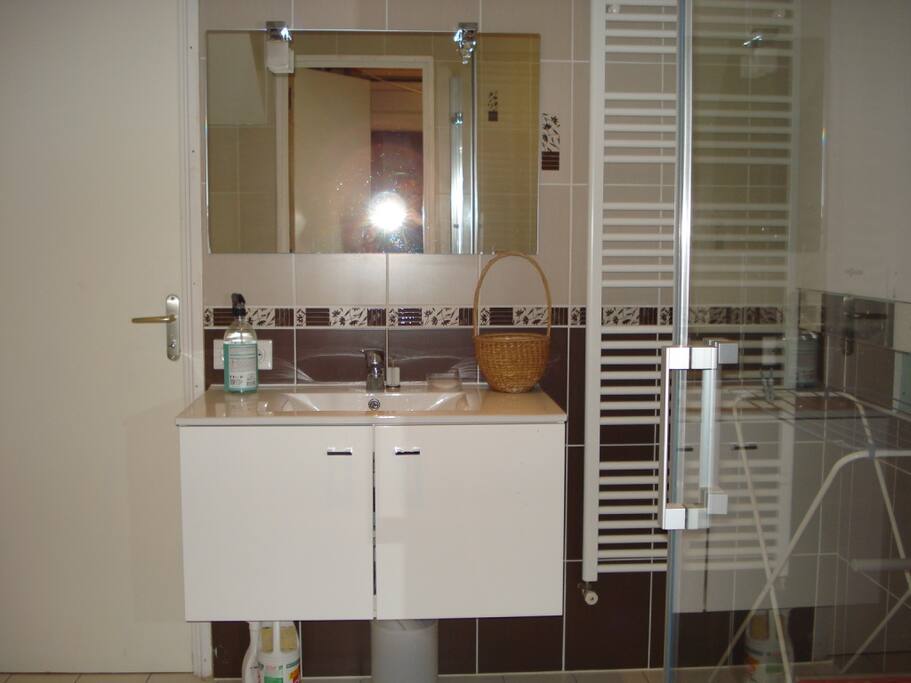 la salle de bain possède une douche, sdb rez de chausee
