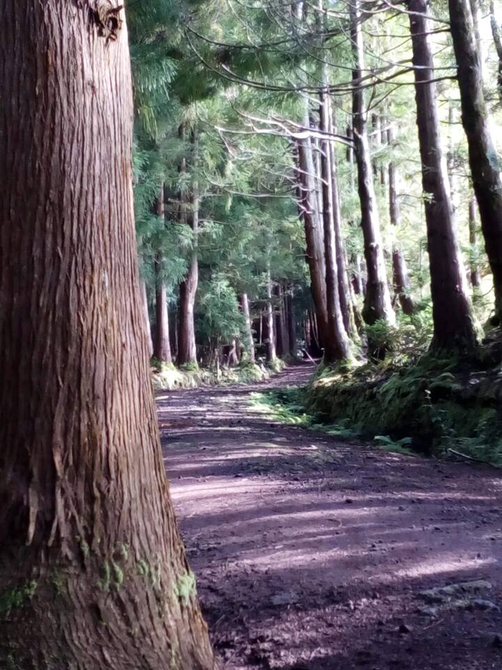 Nature Therapy Walks Airbnb