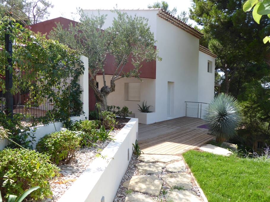L'entrée de la maison avec l'olivier