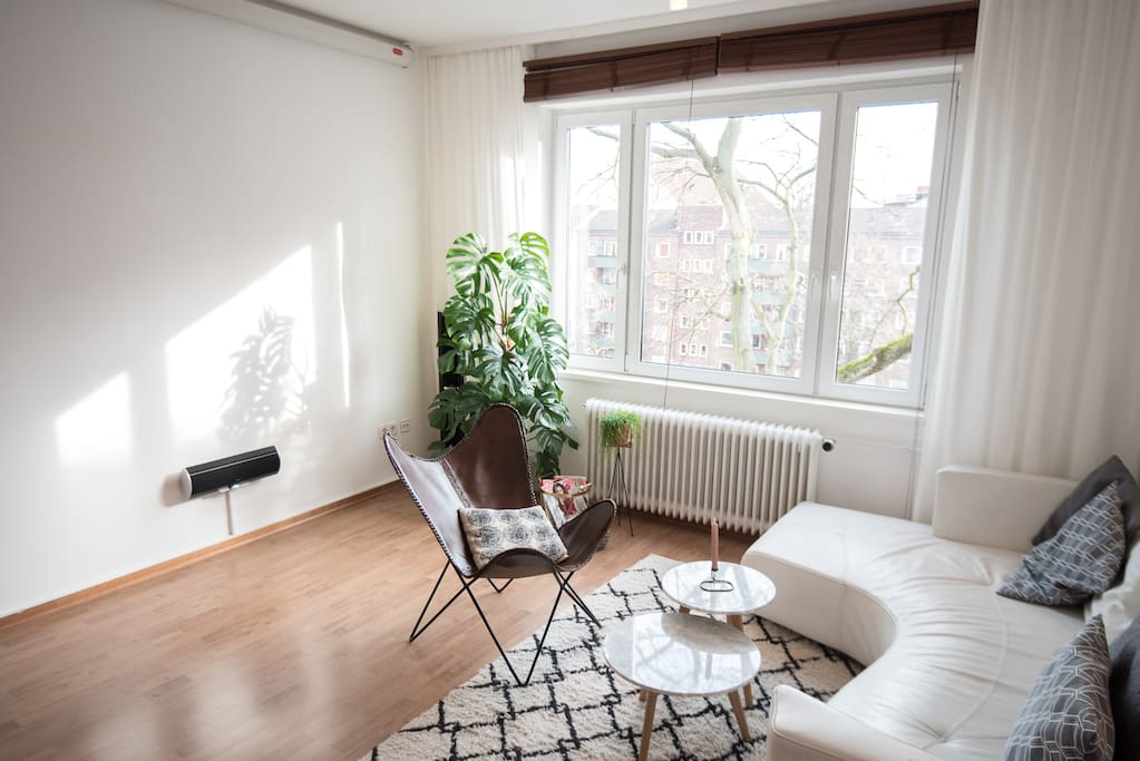 Butterfly Chair und Monstera-Pflanze