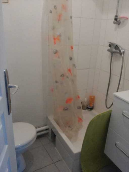 Salle de bains 1.