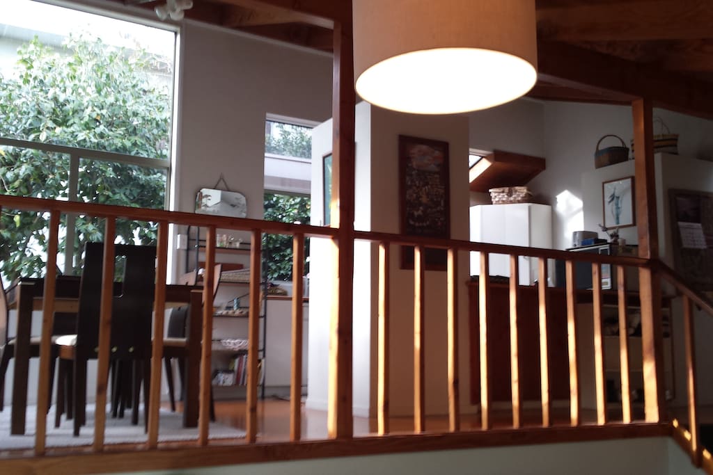 Dining and kitchen filled with light.