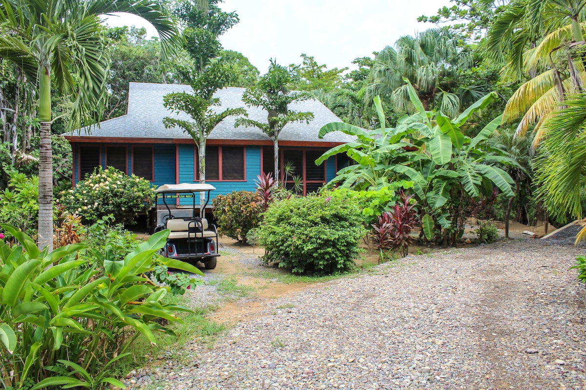 A vibrant bungalow is nestled among tropical greenery, featuring large windows framed by lush plants. A gravel pathway leads to the entrance, while a golf cart is parked nearby, offering convenient access within the eco-resort's serene landscape.