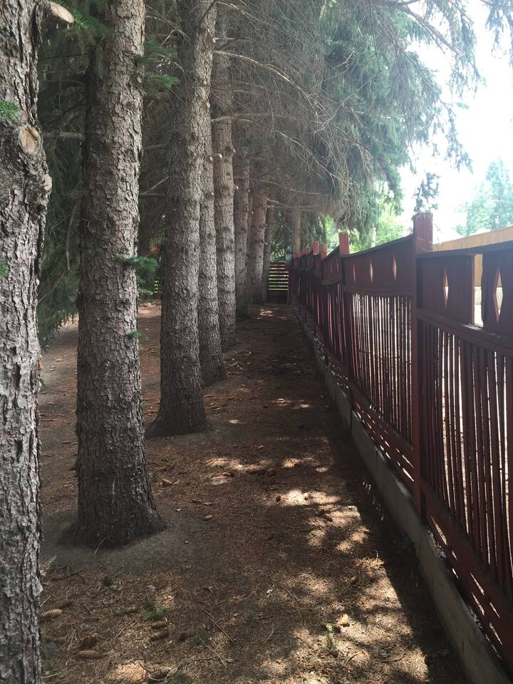 Williston Vacation Rentals & Homes North Dakota, United States Airbnb