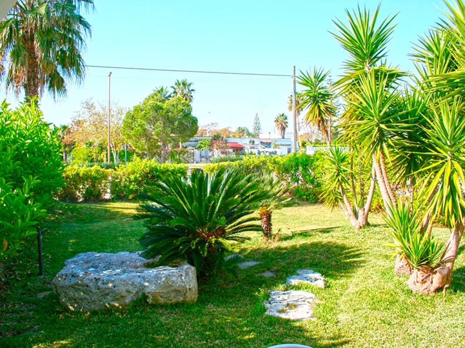 Giardino