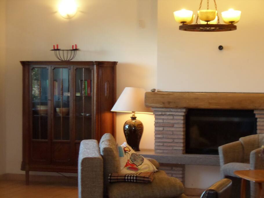 Salon with fire place
