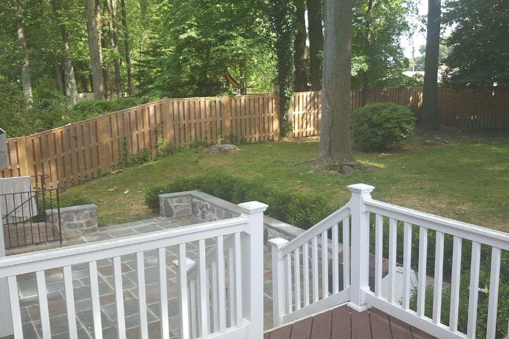 Fenced in Deck and Backyard