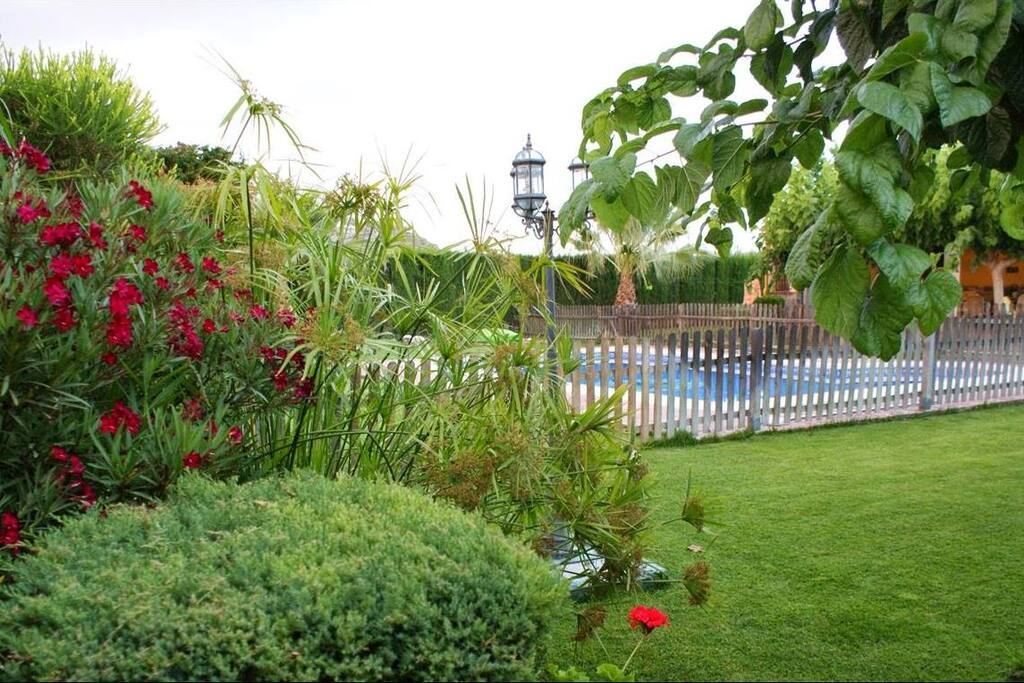 Jardín y piscina