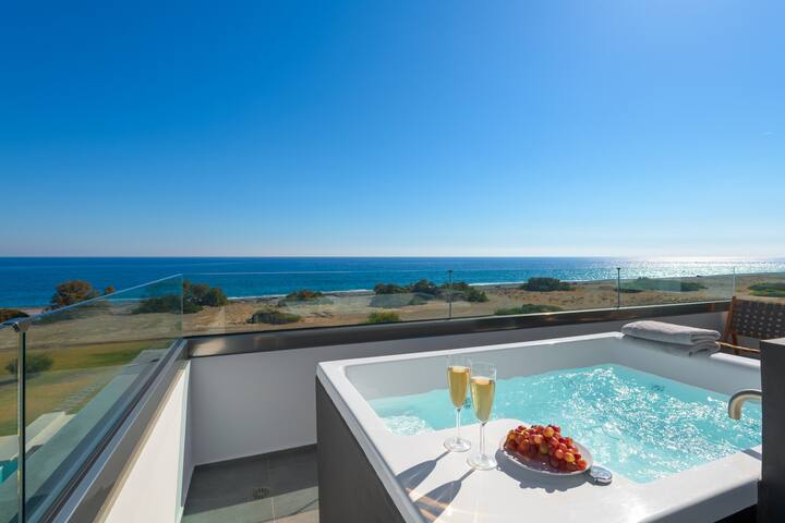 Great Albatross Beach Front Villa gallery image 3