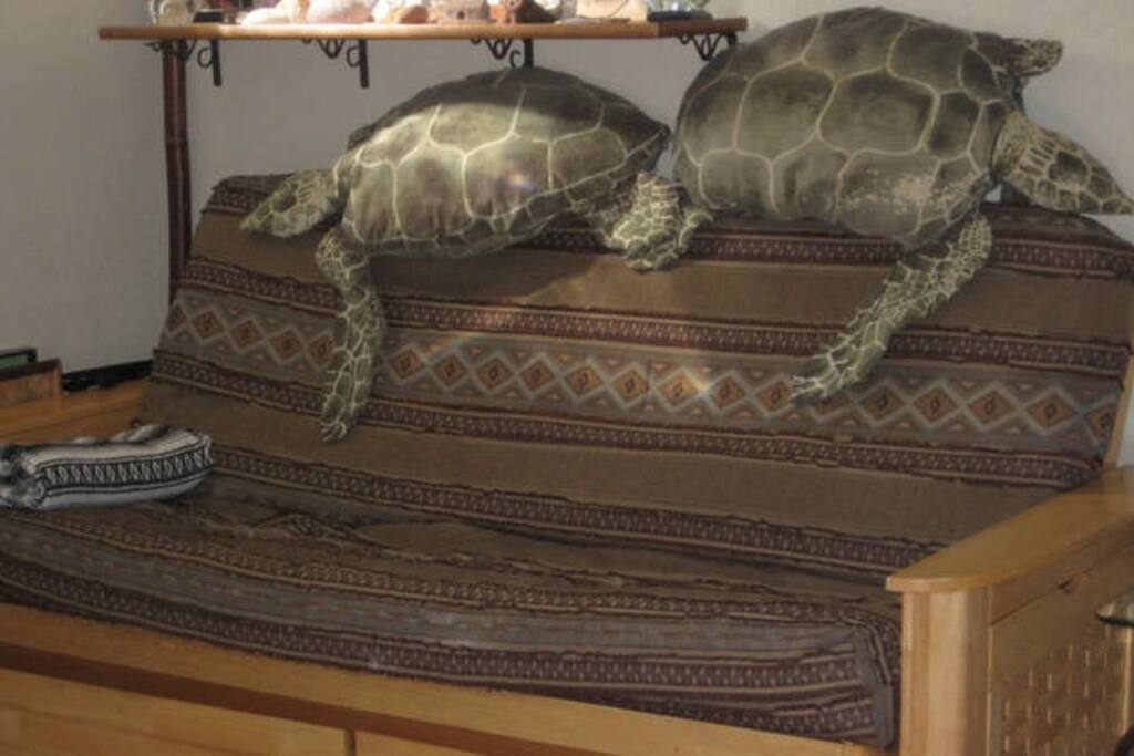 Living room - Full size futon