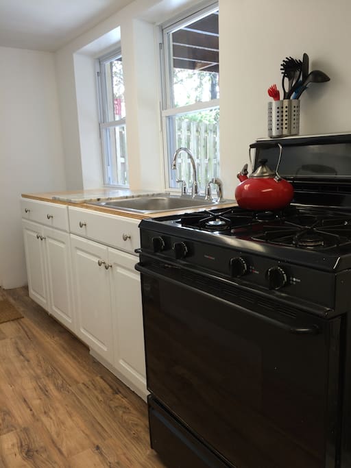 Galley kitchen overlooks back yard. (Also has full size washer and dryer)