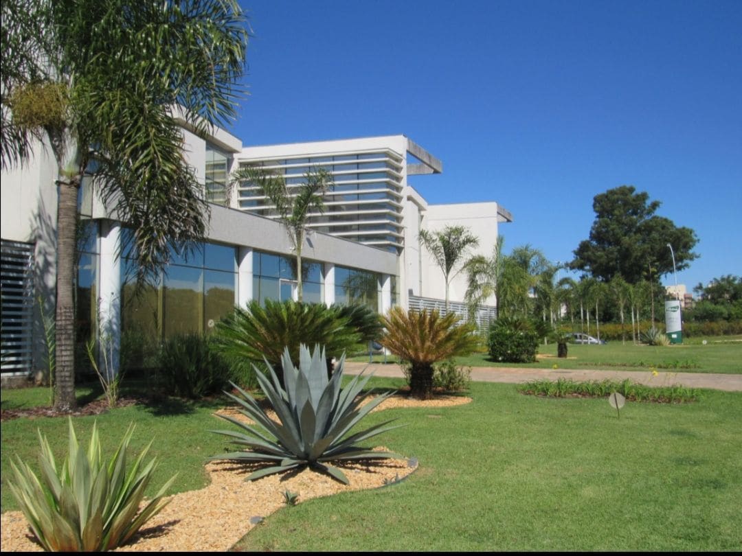 The exterior of a modern structure is showcased, featuring large glass windows and clean lines. Lush green grass surrounds the building, complemented by minimalist landscaping with various tropical plants and palms. The clear blue sky enhances the overall bright and open feel of the space.