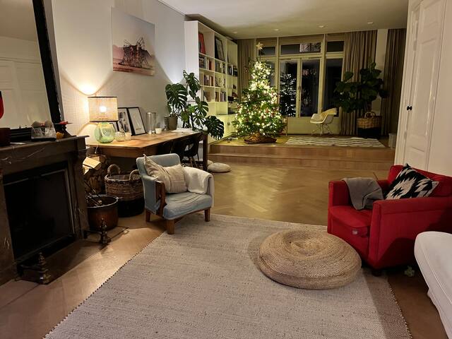 Big Classic Family Home near beach and the City gallery image 5