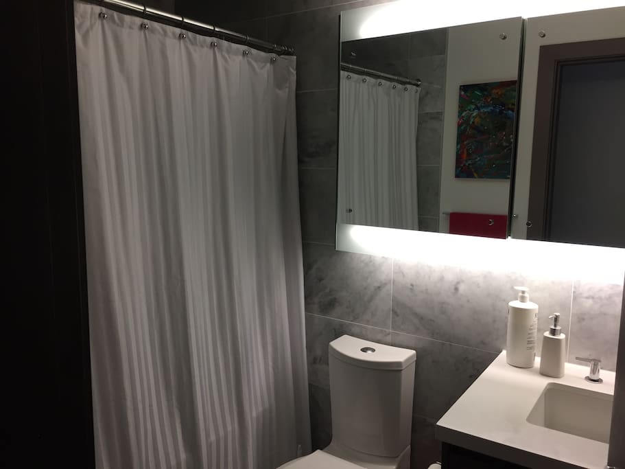 Master ensuite bathroom with tub/shower