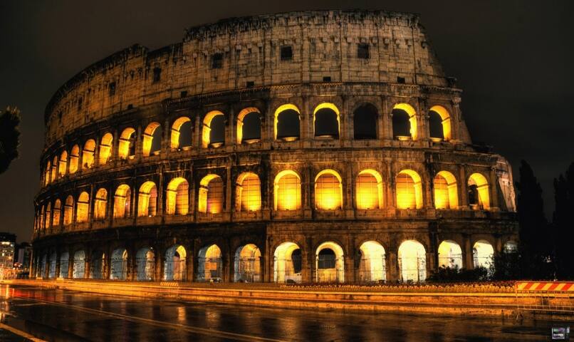 -DOMUSAUREA295 AT THE COLOSSEUM- gallery image 3