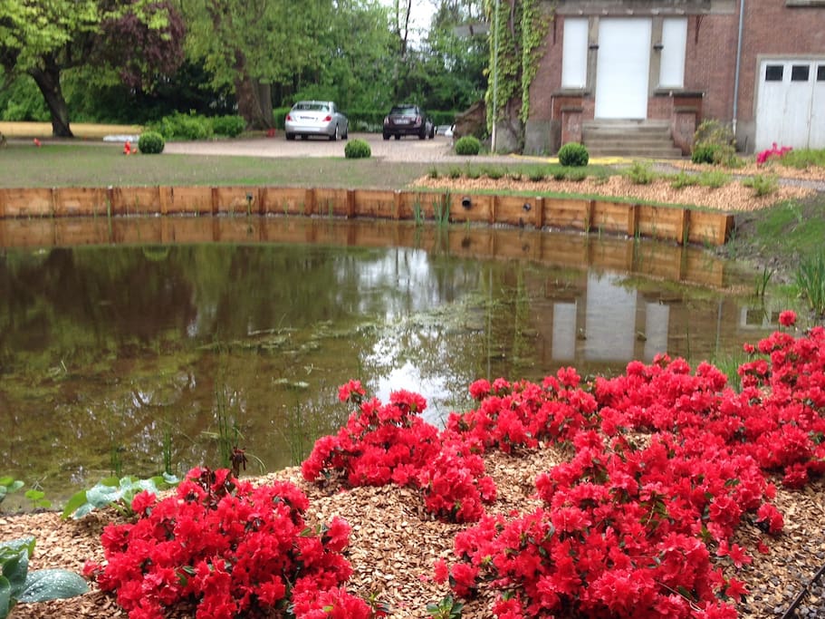 Le plan d'eau