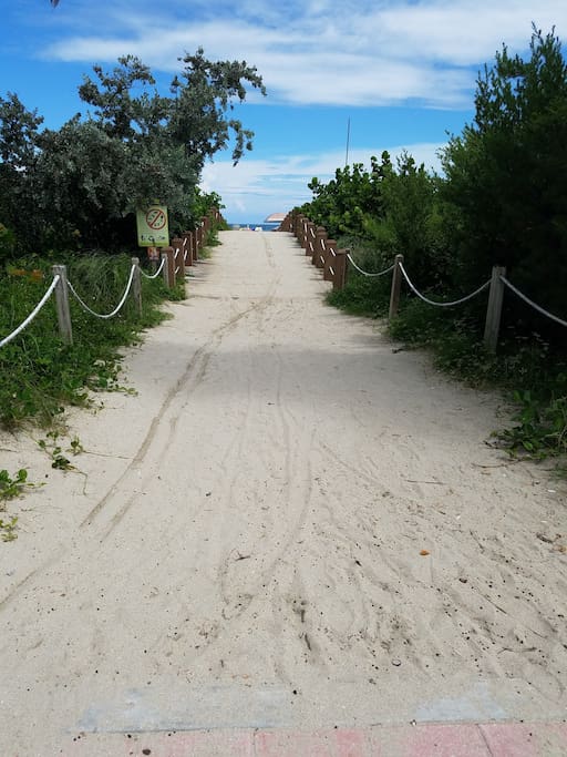 Beach on Collins Ave. Approx. 6 blocks
