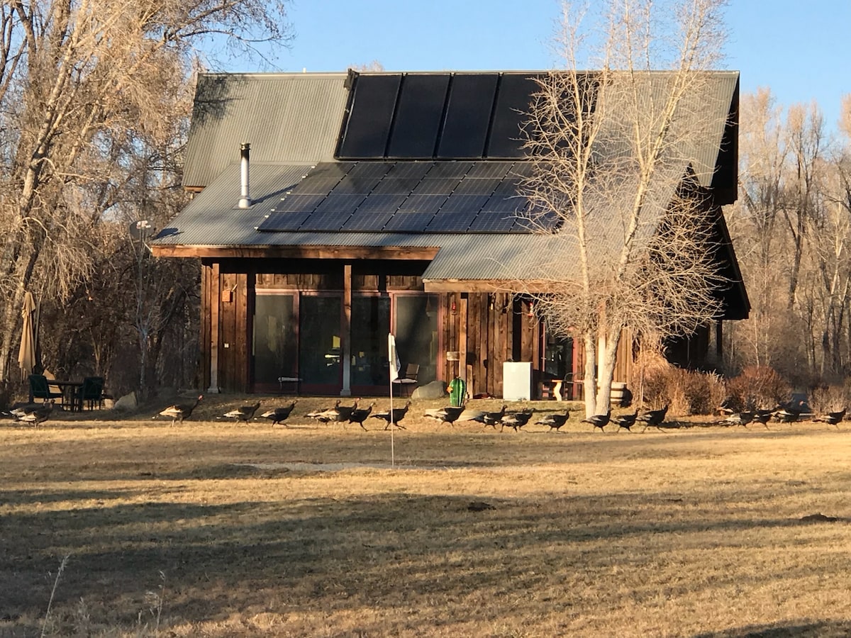 The eco-friendly house features a modern design with solar panels on the roof. Large glass doors at the front provide an unobstructed view of the surrounding landscape. The structure is set against a natural backdrop, with a well-maintained lawn dotted with shrubs and trees.