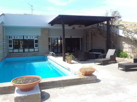 Designer villa on the green roof