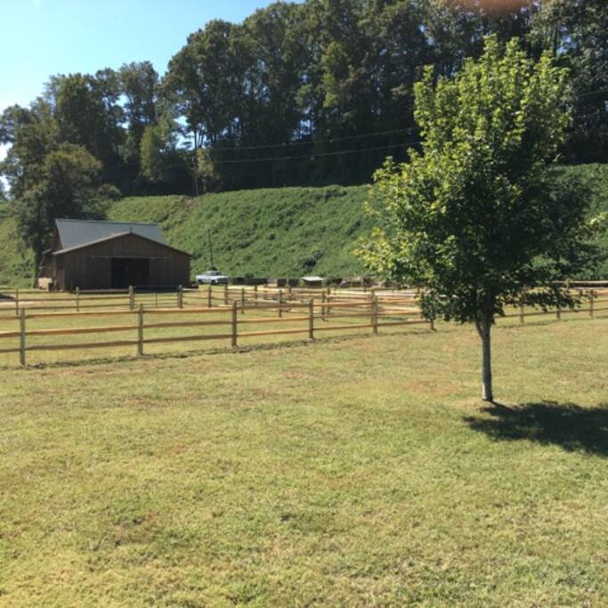 Barn & Paddocks